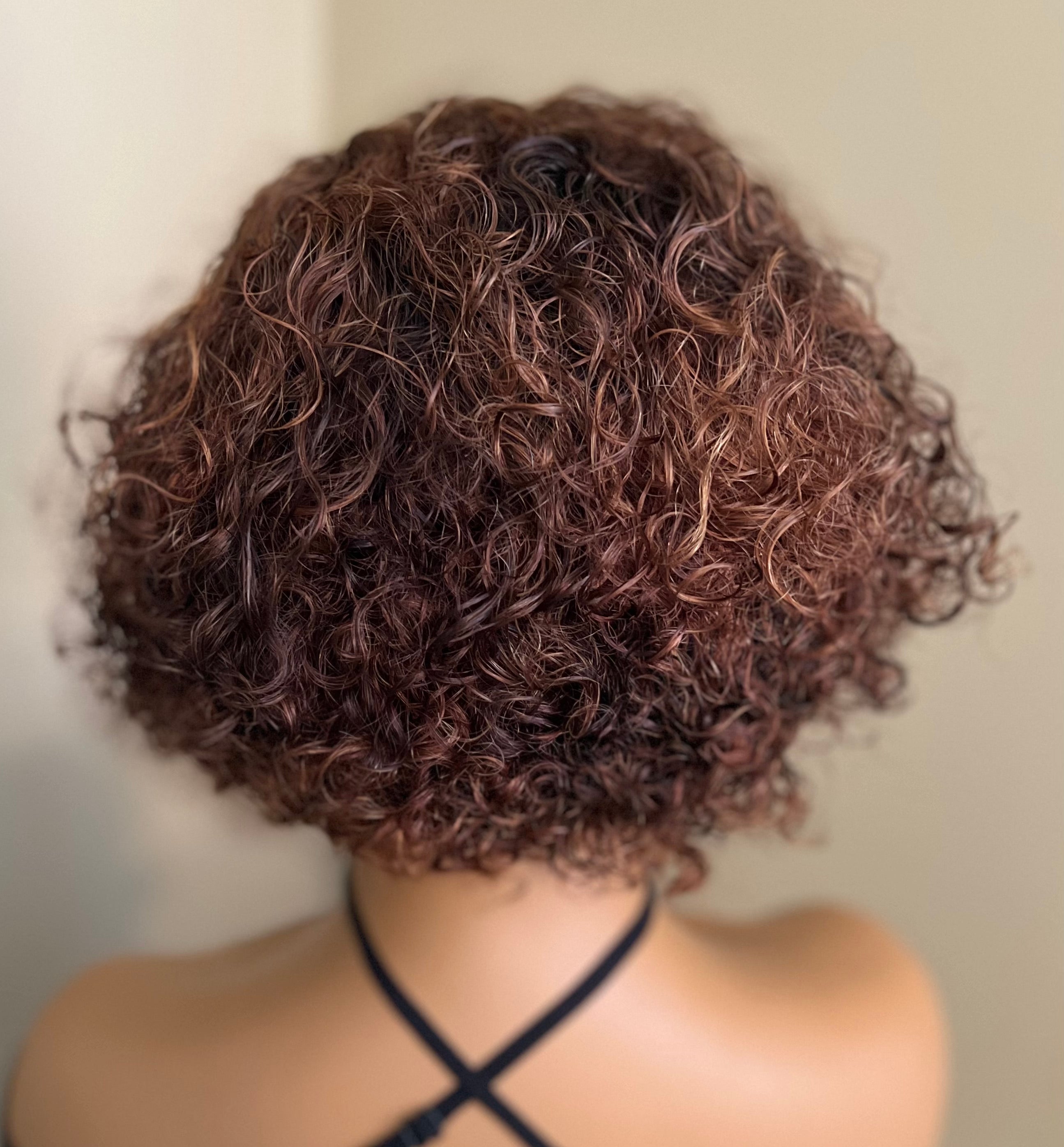 Brown Curly 4x4 Closure Wig (Sasha) 10"